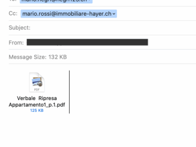 INVIO IMMEDIATO VIA MAIL